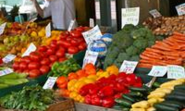 The ABC's of Vegetarian Nutrition